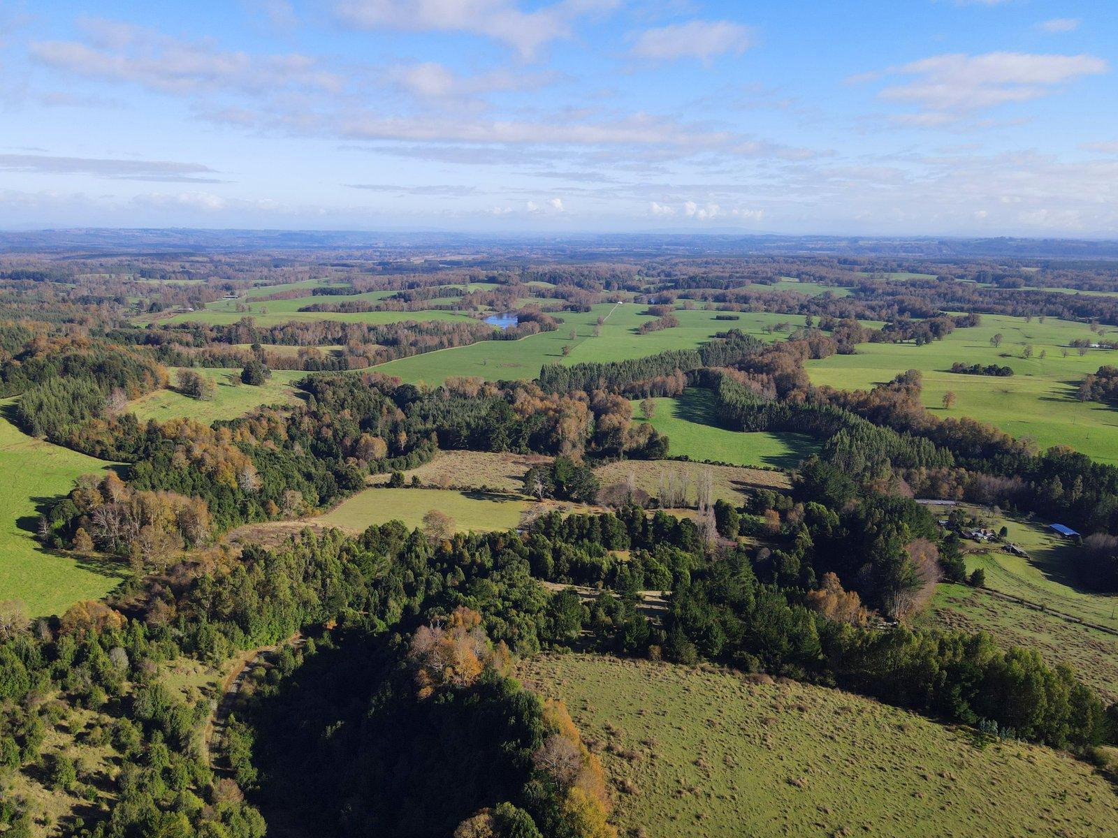 Panorámica del terreno — Colico